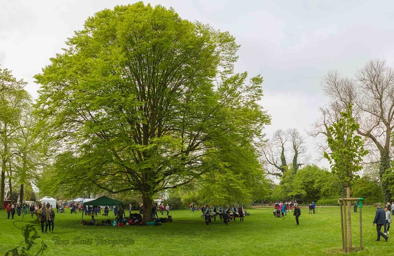 PTS-20170506-00108-Pano- Bewerkt